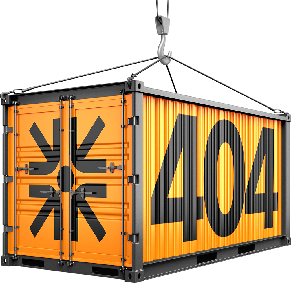 https://demo2.demo.servonet.it/wp-content/uploads/2025/04/image_01_error_page.png