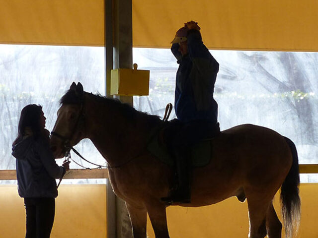 oltre-terapia-06-ippoterapia-00 https://demo2.demo.servonet.it/wp-content/uploads/2025/11/oltre-terapia-06-ippoterapia-00-640x480.jpg